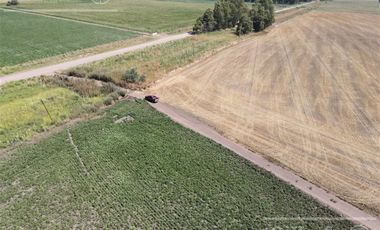 Campo  en venta Mixto de 246 has en Saladillo