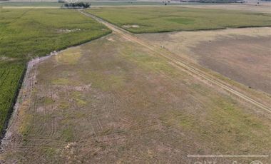 Campo  en venta Mixto de 246 has en Saladillo