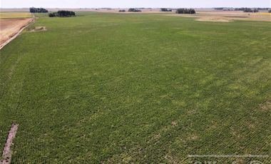 Campo  en venta Mixto de 246 has en Saladillo