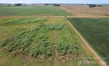 Campo  en venta Mixto de 246 has en Saladillo