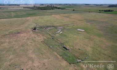 Campo  en venta Mixto de 246 has en Saladillo