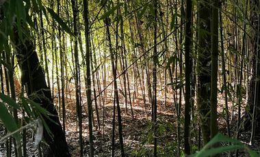 Complejo de cabañas en venta - 5 Dormitorios 4 Baños - 5.000Mts2 - Escobar