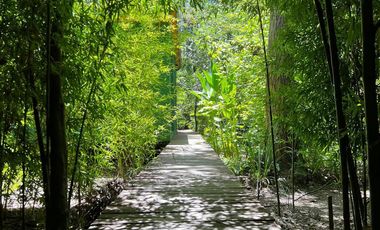 Complejo de cabañas en venta - 5 Dormitorios 4 Baños - 5.000Mts2 - Escobar