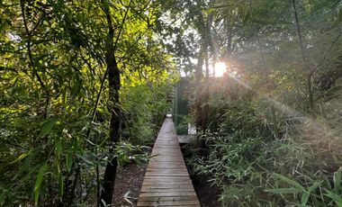 Complejo de cabañas en venta - 5 Dormitorios 4 Baños - 5.000Mts2 - Escobar