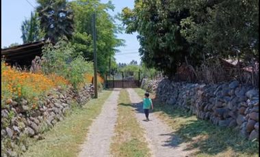 VENDO TERRENO 1600M2 CON CASA, PISCINA, ÁRBOLES FRUTALES