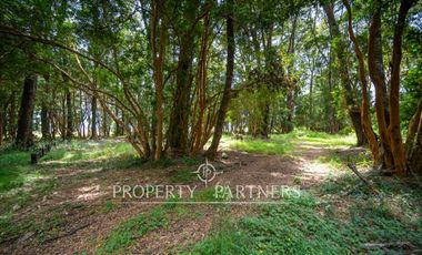 Parcelas en Venta,  Puerto Río Blanco, Puerto Varas - Ensenada