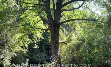 Preciosas parcelas en Colico , con orilla de río