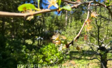 Preciosas parcelas en Colico , con orilla de río