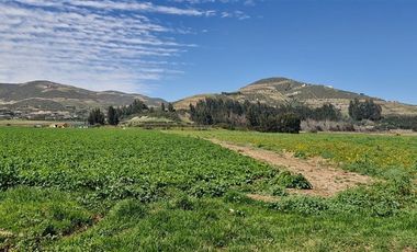 Sitio en Venta en Parcela en Sector El Romero