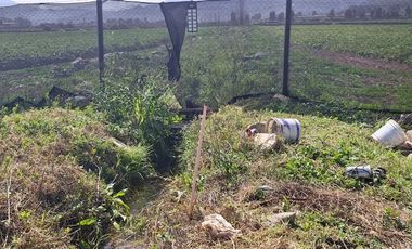 Sitio en Venta en Parcela en Sector El Romero