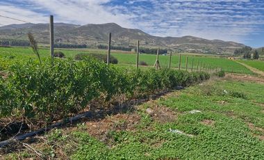 Sitio en Venta en Parcela en Sector El Romero