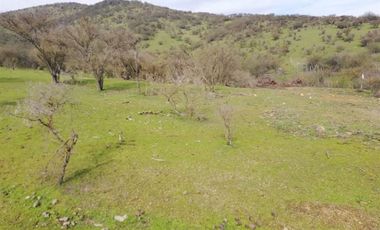 Agrícola en Venta en El manzano