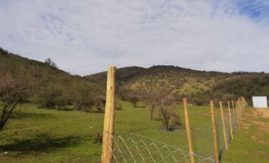 Agrícola en Venta en El manzano