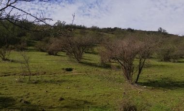 Agrícola en Venta en El manzano