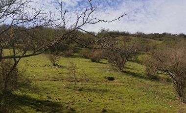 Parcela en Venta en El manzano