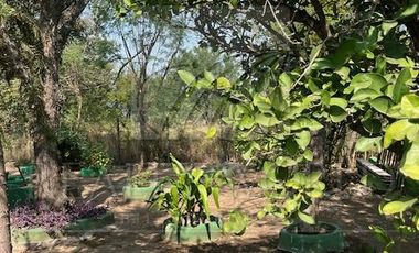 Quintas en Venta en Palmitos (Hacienda Palmitos)