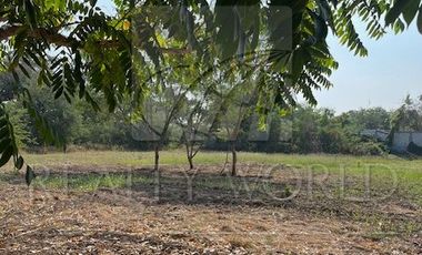 Quintas en Venta en Palmitos (Hacienda Palmitos)