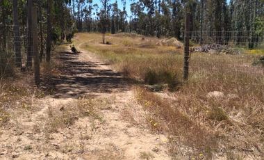 Se vende hemosa parcela Condominio Piedra Negras de Tunquen