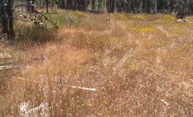 Se vende hemosa parcela Condominio Piedra Negras de Tunquen