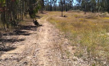 Se vende hemosa parcela Condominio Piedra Negras de Tunquen