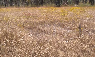 Se vende hemosa parcela Condominio Piedra Negras de Tunquen