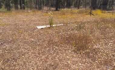 Se vende hemosa parcela Condominio Piedra Negras de Tunquen