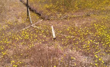 Se vende hemosa parcela Condominio Piedra Negras de Tunquen