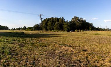 Dos lotes en barrio Del Carmen