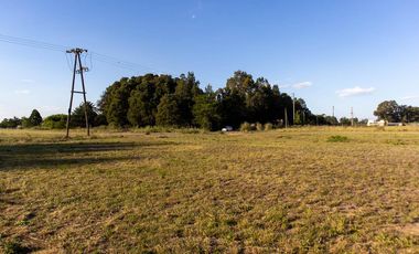 Dos lotes en barrio Del Carmen