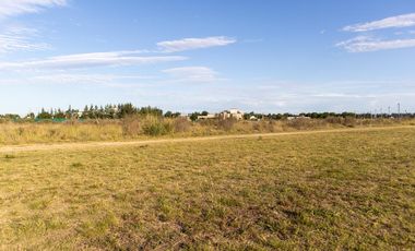 Dos lotes en barrio Del Carmen