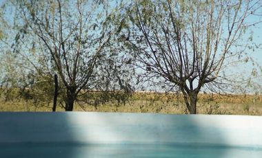 Campo de 95 Hectáreas en Lobos