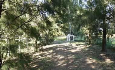 Campo de 95 Hectáreas en Lobos