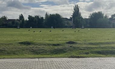 Terreno en Los Cardos