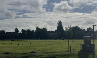 Terreno en Los Cardos