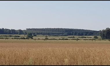 Terreno - Gualeguaychu