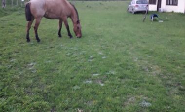 Terreno - Gualeguaychu