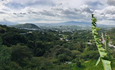 Venta terreno Guayllabamba plano 1.000m2 cerca al zoológico