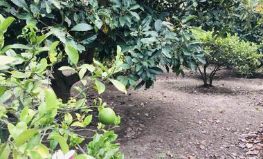 Venta terreno Guayllabamba plano 1.000m2 cerca al zoológico