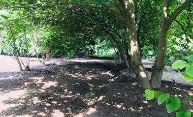 Venta terreno Guayllabamba con escritura pública. 1.000m2 cerca al zoo.