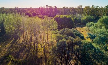 Terreno en venta - 900Mts2 - Alejandro Korn, San Vicente