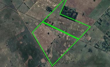 Campo en venta - 133.73 Hectáreas - Florencio Varela