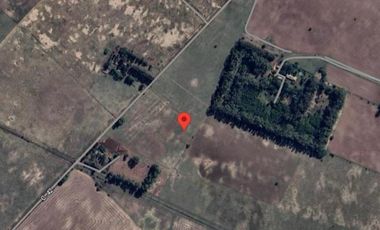 Campo en venta - 133.73 Hectáreas - Florencio Varela