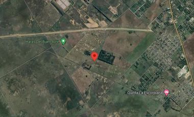 Campo en venta - 133.73 Hectáreas - Florencio Varela
