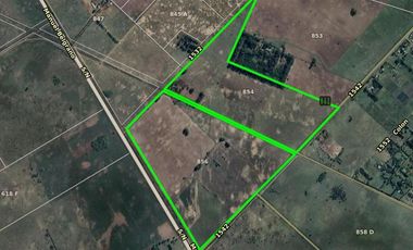 Campo en venta - 133.73 Hectáreas - Florencio Varela