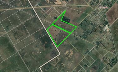 Campo en venta - 133.73 Hectáreas - Florencio Varela