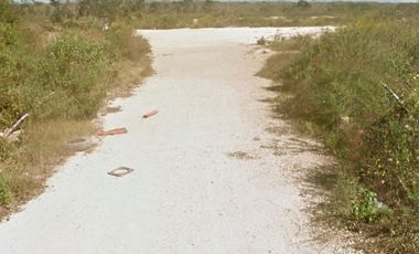 Oportunidad de inversión en Olivos Conkal