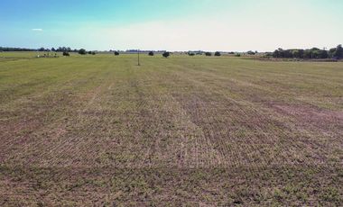 Campo de 20 has en Navarro