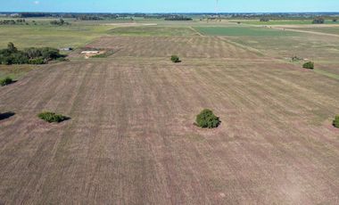 Campo de 20 has en Navarro