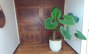 Casa moderna frente a la laguna y próxima a acceso Bancalari