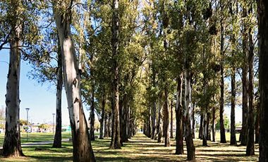 Terreno en  EcoTierra Pueblo Esther